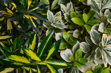 Similar image 21660175