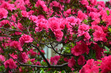 Similar image 21660176