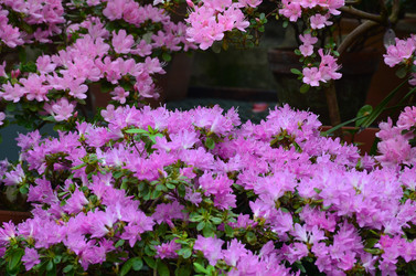 Similar image 21660177