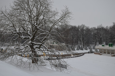 Similar image 21659905