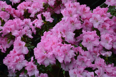 Similar image 21660178