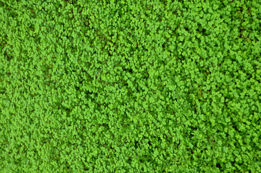 Similar image 21660179