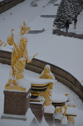 Similar image 21659907