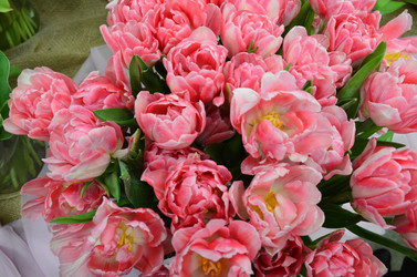 Similar image 21660180