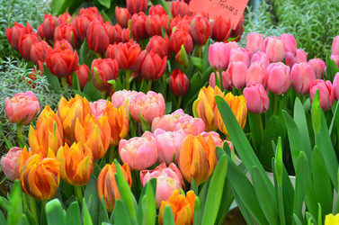 Similar image 21660181