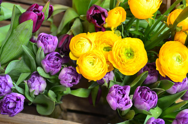 Similar image 21660182