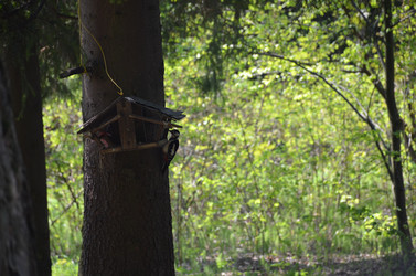 Similar image 21660183