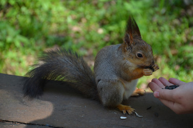 Similar image 21660184