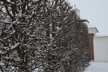 Similar image 21659915