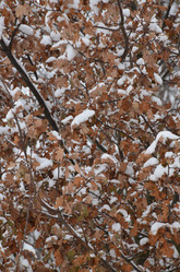 Similar image 21660192