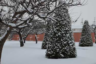 Similar image 21659924