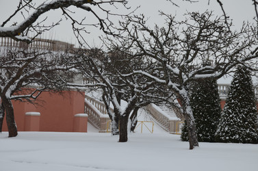 Similar image 21659927