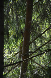 Similar image 21660197