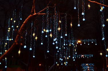 Similar image 21660198