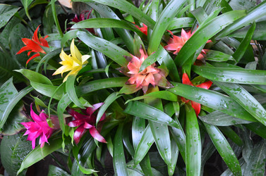 Similar image 21660203