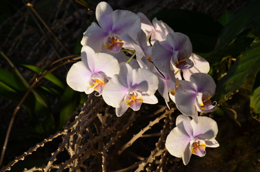 Similar image 21660204