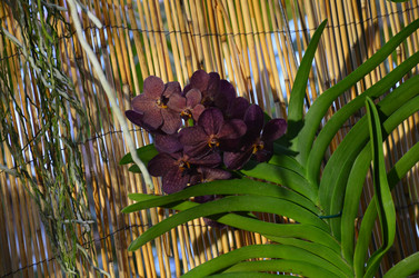 Similar image 21660205