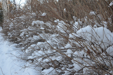 Similar image 21660213