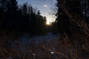 Similar image 21660214