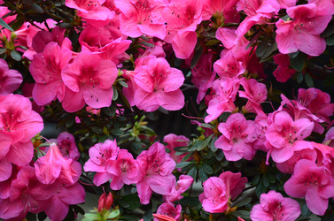 Similar image 21660215