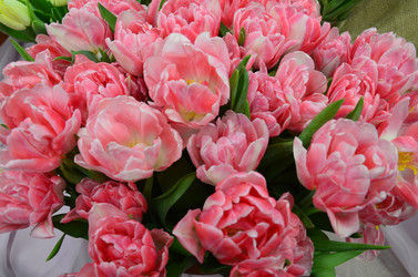 Similar image 21660216