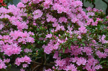 Similar image 21660220