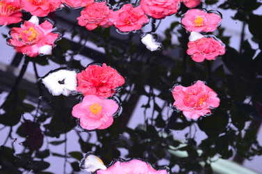 Similar image 21660226