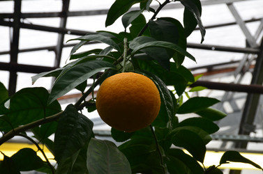 Similar image 21660227