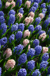 Similar image 21660232