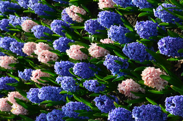 Similar image 21660233