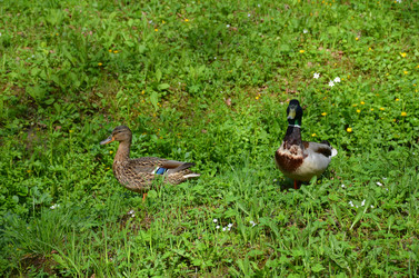 Similar image 21660234