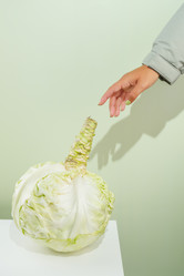 Similar image 21659724