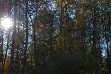 Similar image 21659996