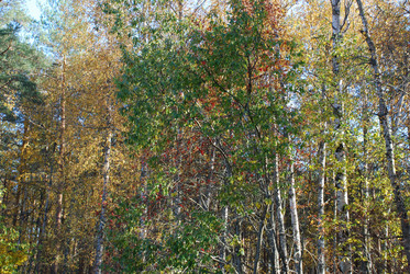 Similar image 21659998