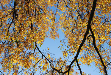 Similar image 21659999