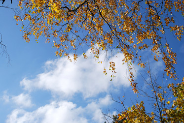 Similar image 21660001