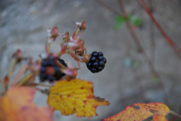 Similar image 21660002