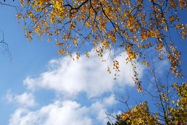 Similar image 21660003