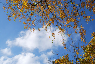 Similar image 21660005