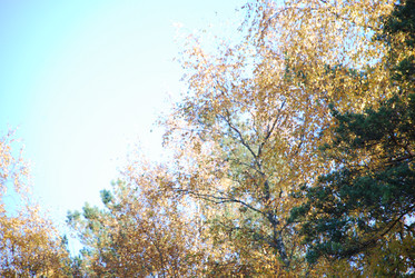 Similar image 21660006