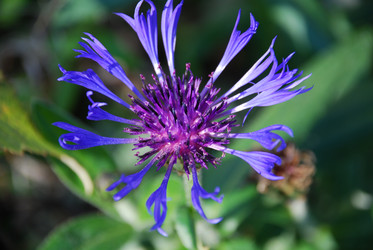 Similar image 21660090