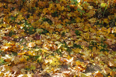 Similar image 21660093