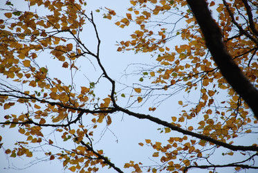 Similar image 21660094