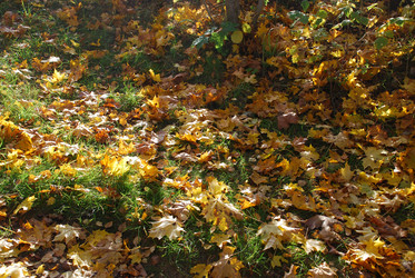 Similar image 21660095