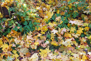 Similar image 21660096