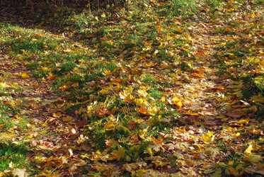 Similar image 21660097