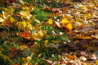 Similar image 21660098