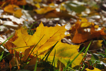 Similar image 21660101