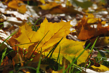 Similar image 21660102