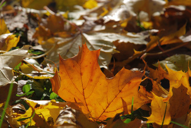 Similar image 21660103